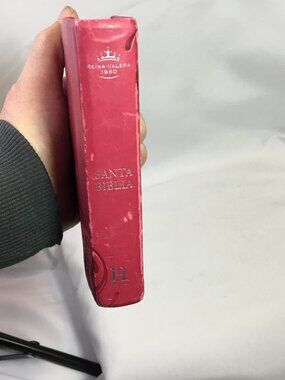 Holy Bible Santa Biblia Reina-Valera 1960/2008 Holman Pink Cover W/Tabs